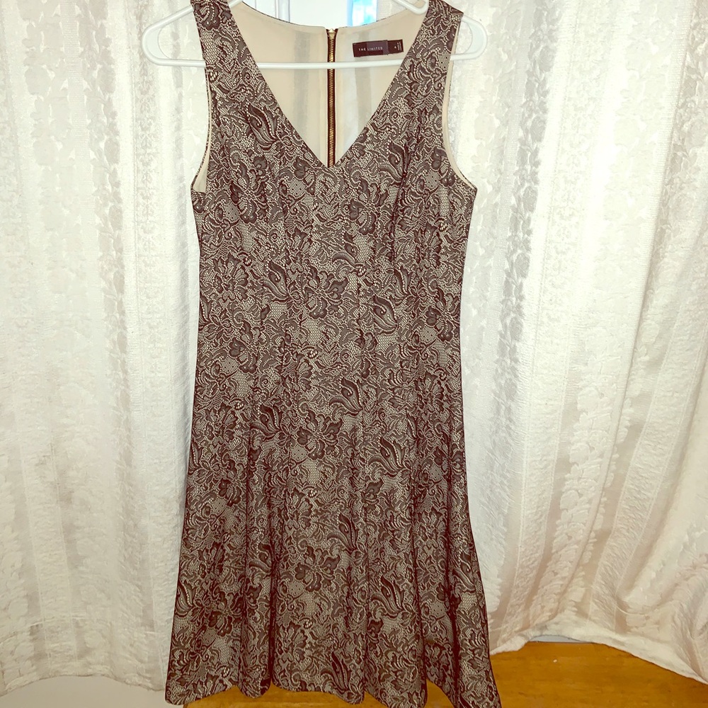 The Limited Black & Cream A Lined Dress Lace